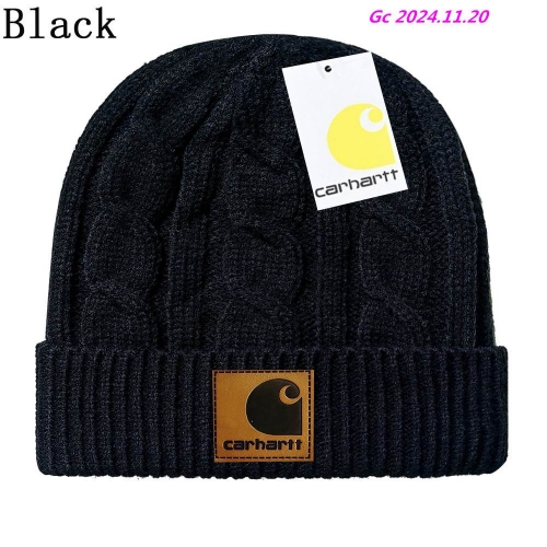 C.a.r.h.a.r.t.t. Beanies 1035 Men