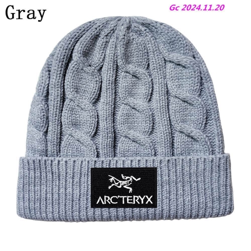 A.r.c.t.e.r.y.x. Beanies 1054 Men