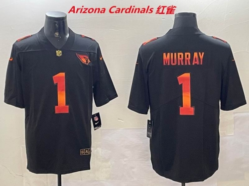 NFL Arizona Cardinals 169 Men