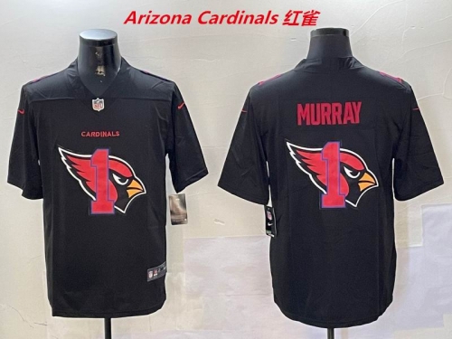 NFL Arizona Cardinals 167 Men