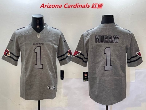 NFL Arizona Cardinals 161 Men