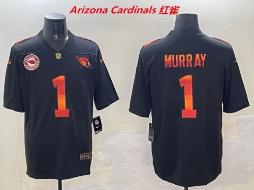 NFL Arizona Cardinals 170 Men