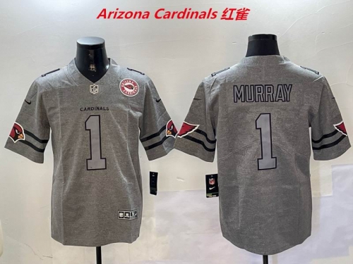 NFL Arizona Cardinals 162 Men