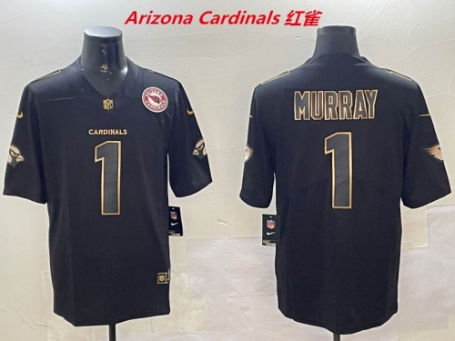 NFL Arizona Cardinals 166 Men