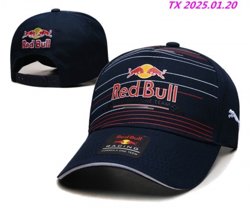 R.e.d. B.u.l.l. P.u.m.a. Hats 1340 Men