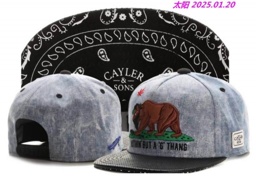 Fashion Hats 1029 Men