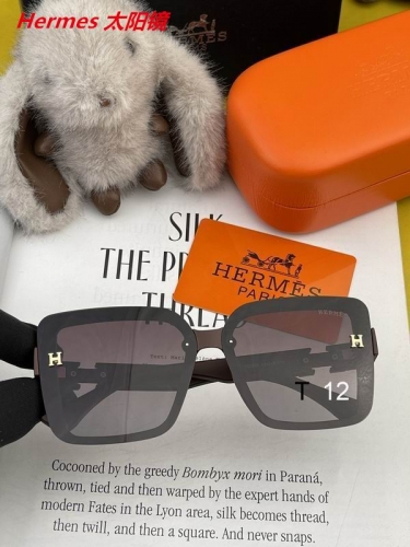 H.e.r.m.e.s. Sunglasses AAAA 10137