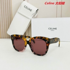 C.e.l.i.n.e. Sunglasses AAAA 10496