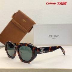 C.e.l.i.n.e. Sunglasses AAAA 10716