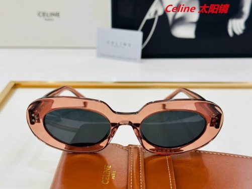 C.e.l.i.n.e. Sunglasses AAAA 10511