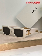 C.e.l.i.n.e. Sunglasses AAAA 10554