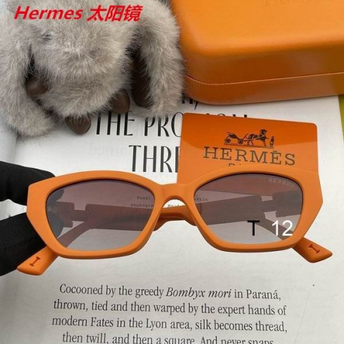 H.e.r.m.e.s. Sunglasses AAAA 10129