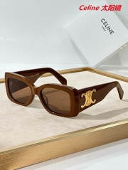 C.e.l.i.n.e. Sunglasses AAAA 10659