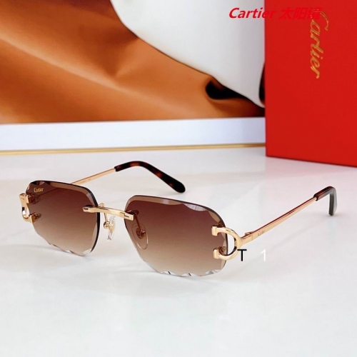 C.a.r.t.i.e.r. Sunglasses AAAA 12917