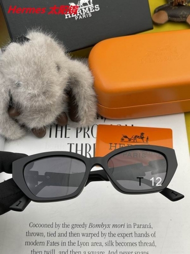 H.e.r.m.e.s. Sunglasses AAAA 10130