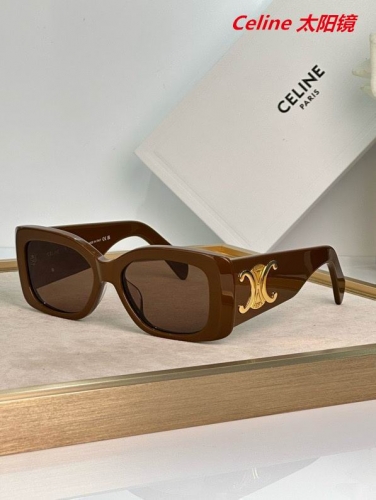 C.e.l.i.n.e. Sunglasses AAAA 10553