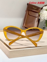 C.e.l.i.n.e. Sunglasses AAAA 10406