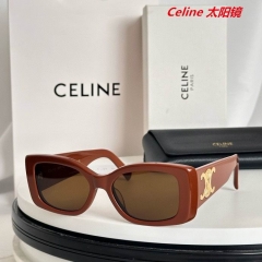 C.e.l.i.n.e. Sunglasses AAAA 10878