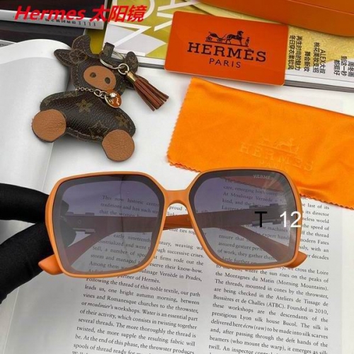 H.e.r.m.e.s. Sunglasses AAAA 10116