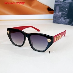 V.e.r.s.a.c.e. Sunglasses AAAA 11323