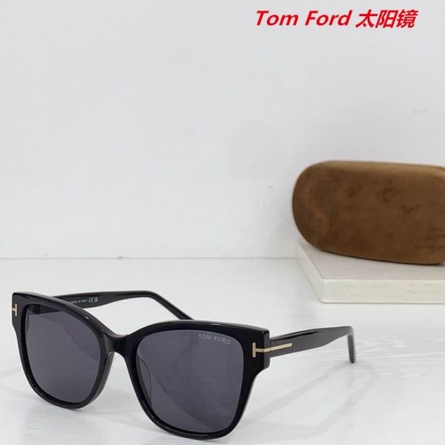 T.o.m. F.o.r.d. Sunglasses AAAA 10995