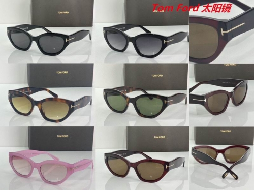 T.o.m. F.o.r.d. Sunglasses AAAA 10421