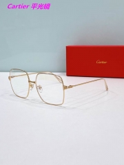 C.a.r.t.i.e.r. Plain Glasses AAAA 10042