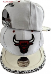 NBA Snapbacks 3199 Men