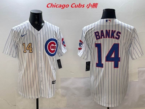MLB Chicago Cubs 268 Men
