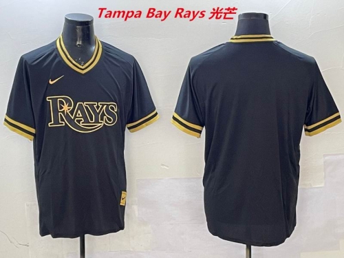 MLB Tampa Bay Rays 217 Men