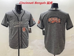 NFL Cincinnati Bengals 250 Men
