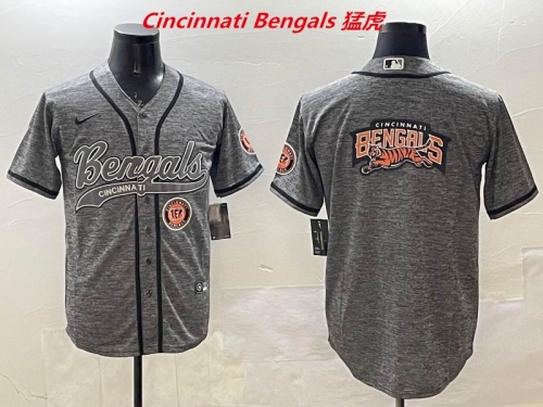 NFL Cincinnati Bengals 250 Men