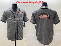 NFL Cincinnati Bengals 251 Men