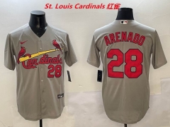 MLB St.Louis Cardinals 142 Men