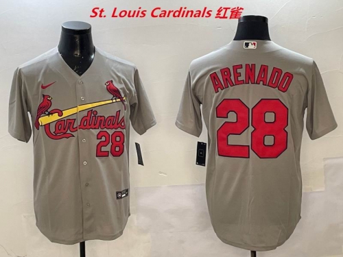 MLB St.Louis Cardinals 142 Men