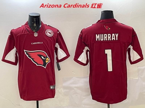 NFL Arizona Cardinals 172 Men