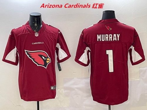 NFL Arizona Cardinals 171 Men