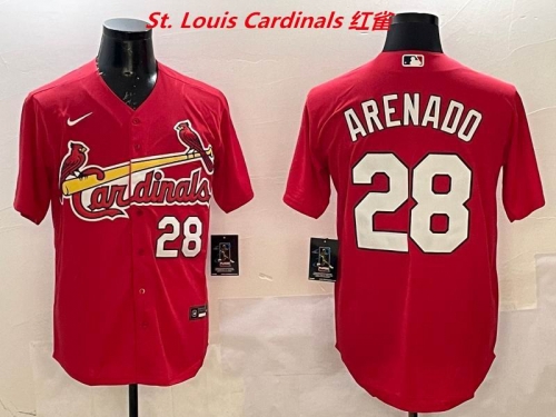 MLB St.Louis Cardinals 146 Men