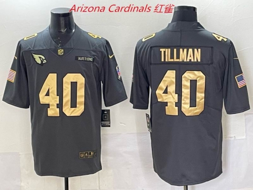 NFL Arizona Cardinals 181 Men