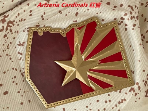 NFL Arizona Cardinals 183 Men
