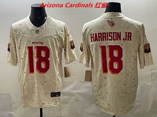 NFL Arizona Cardinals 195 Men