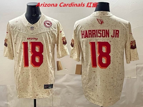 NFL Arizona Cardinals 196 Men