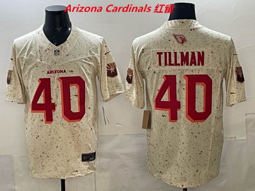 NFL Arizona Cardinals 197 Men