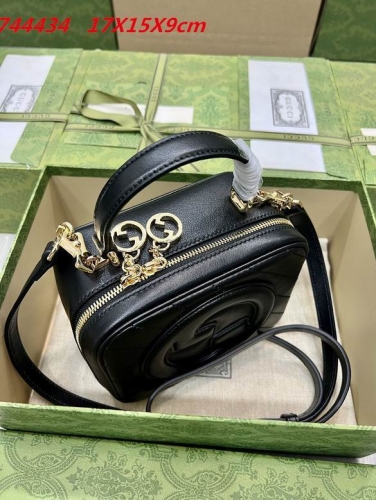 AAA -- G.u.c.c.i. Bags Part C 13319
