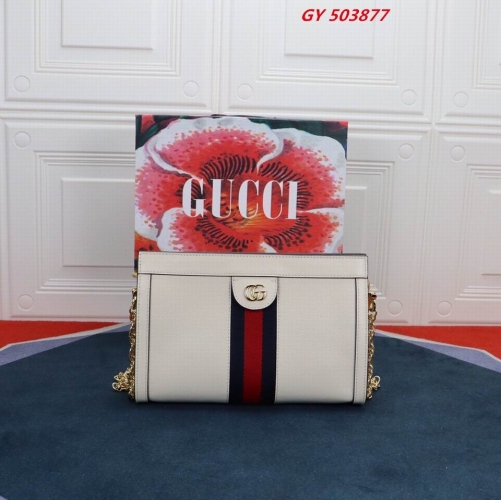 AAA -- G.u.c.c.i. Bags Part C 13993