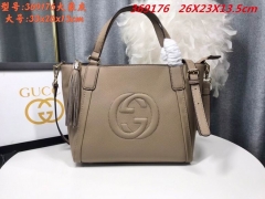 AAA -- G.u.c.c.i. Bags Part C 13013