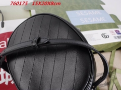 AAA -- G.u.c.c.i. Bags Part C 13303