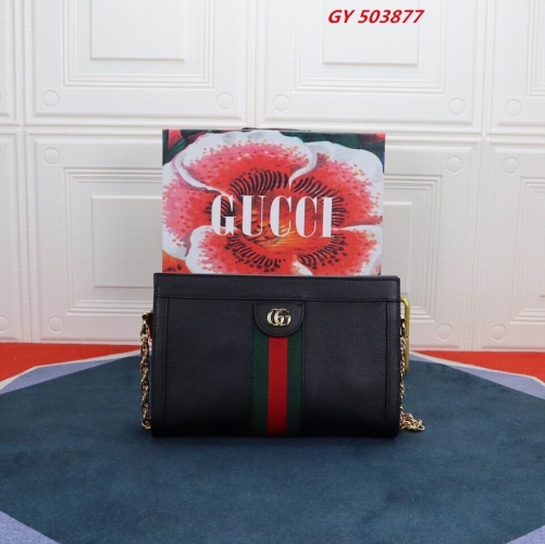 AAA -- G.u.c.c.i. Bags Part C 13997