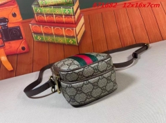 AAA -- G.u.c.c.i. Bags Part C 14198
