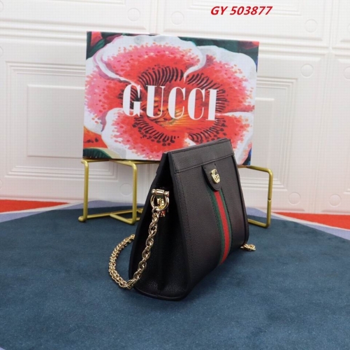 AAA -- G.u.c.c.i. Bags Part C 13995